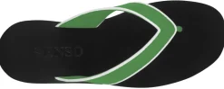 Bowie III - Senso