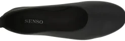 Daphne IV - Senso