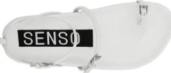 Domino - Senso