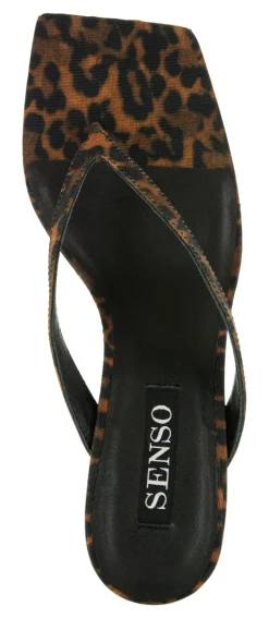 Elvie IV - Senso