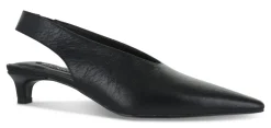 Hayden I - Senso