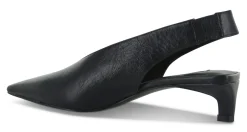 Hayden I - Senso