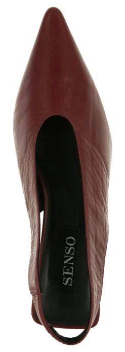 Hayden I - Senso