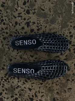 Jellie - Senso