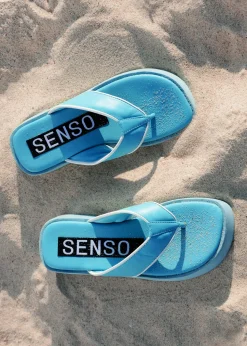 Paxton - Senso