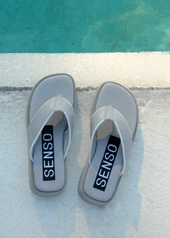 Paxton - Senso
