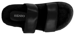 Theo - Senso