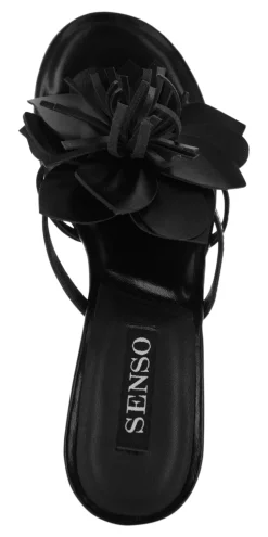 Uniss I - Senso