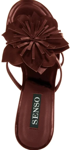 Uniss II - Senso