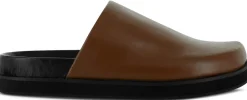 Zen - Senso