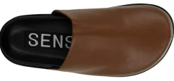 Zen - Senso