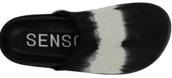 Zen II - Senso