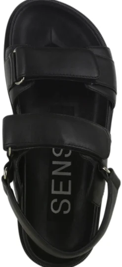 Zina I - Senso